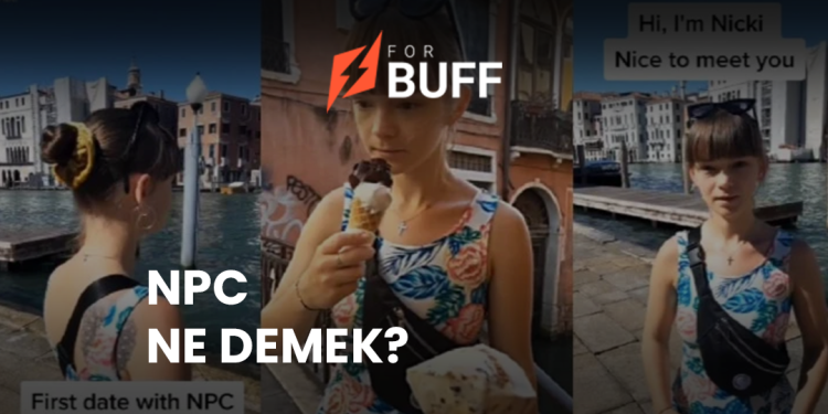 NPC Ne Demek?